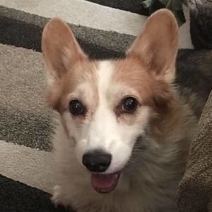 Meet your Posher, Joann